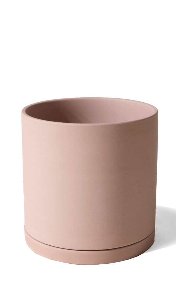 Dojo Porcelain Modern Indoor Plant Pot With Saucer - Chive Ceramics Studio - Pots - Chive Ceramics Studio