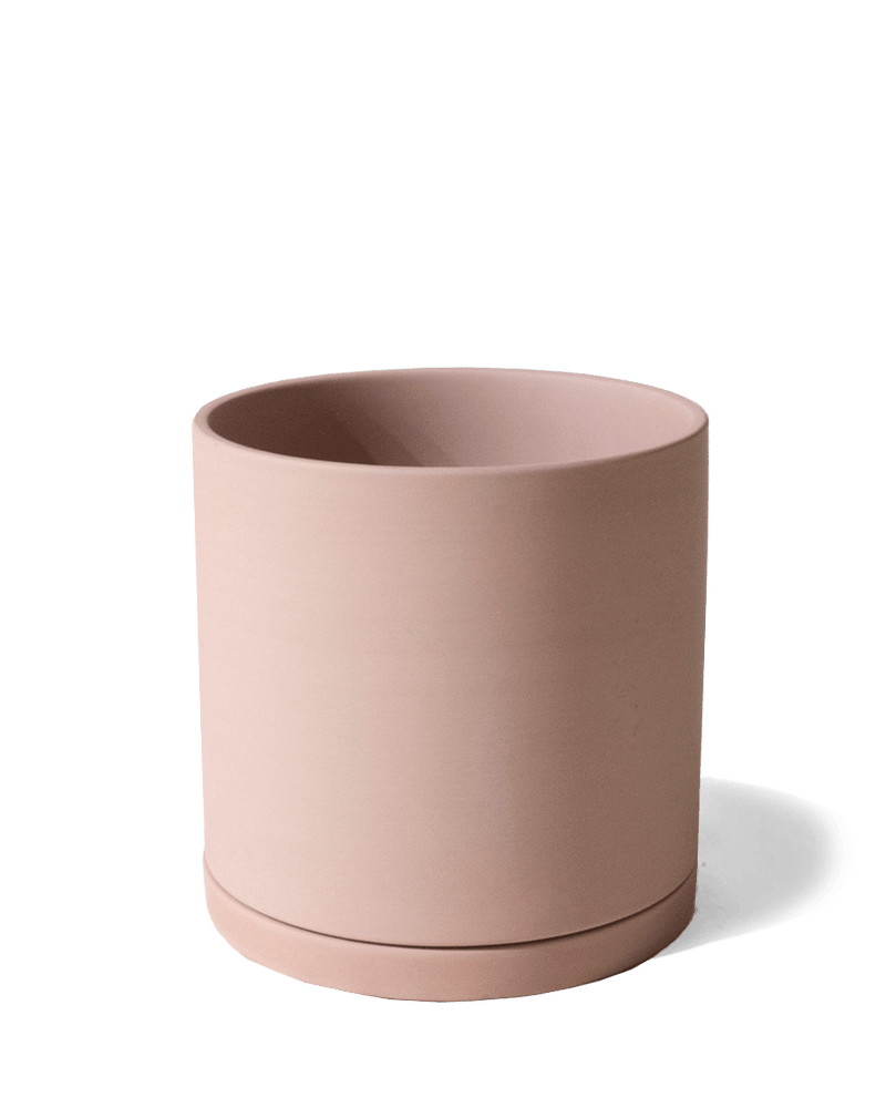 Dojo Porcelain Modern Indoor Plant Pot With Saucer - Chive Ceramics Studio - Pots - Chive Ceramics Studio