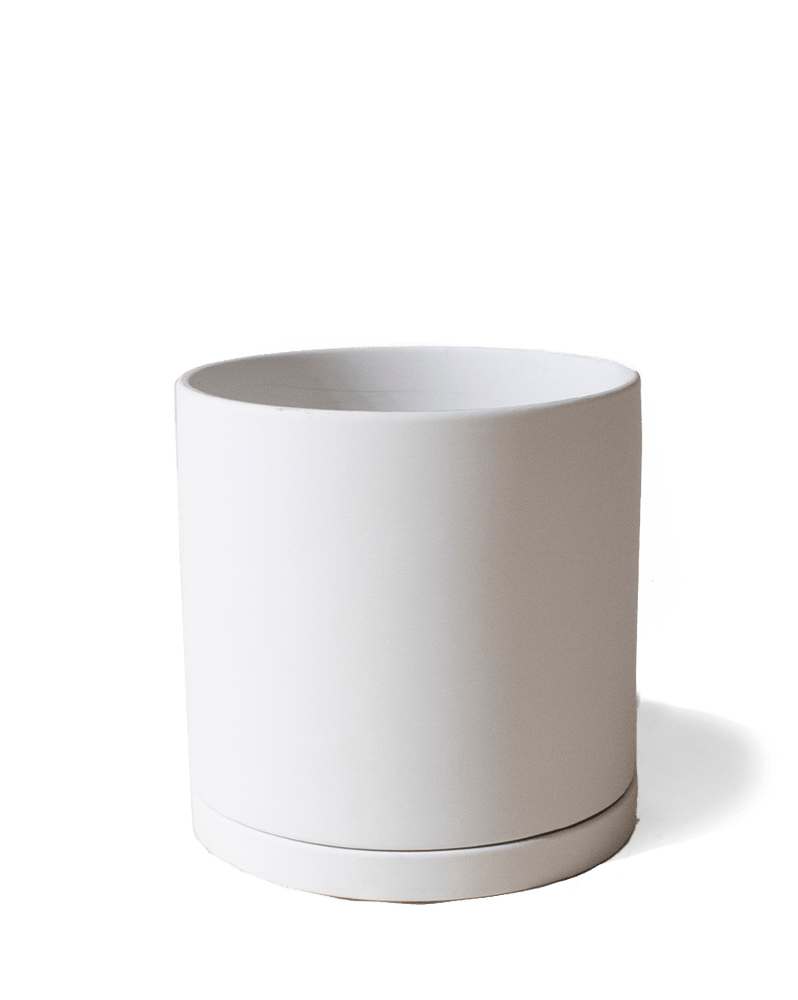 Dojo Porcelain Modern Indoor Plant Pot With Saucer - Chive Ceramics Studio - Pots - Chive Ceramics Studio