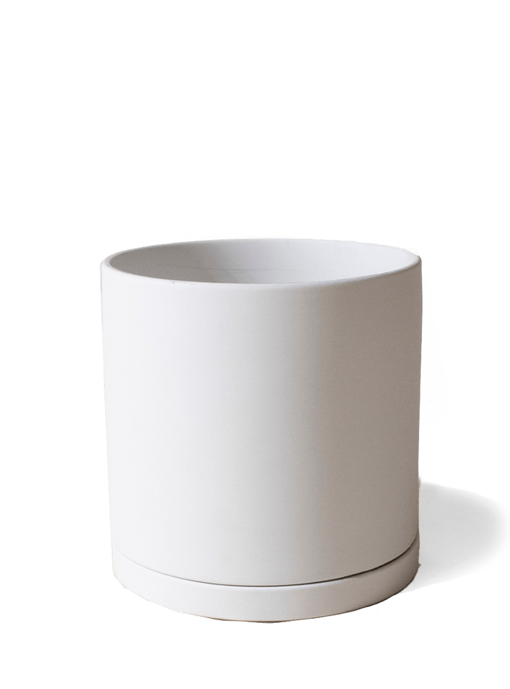 Dojo Porcelain Modern Indoor Plant Pot With Saucer - Chive Ceramics Studio - Pots - Chive Ceramics Studio