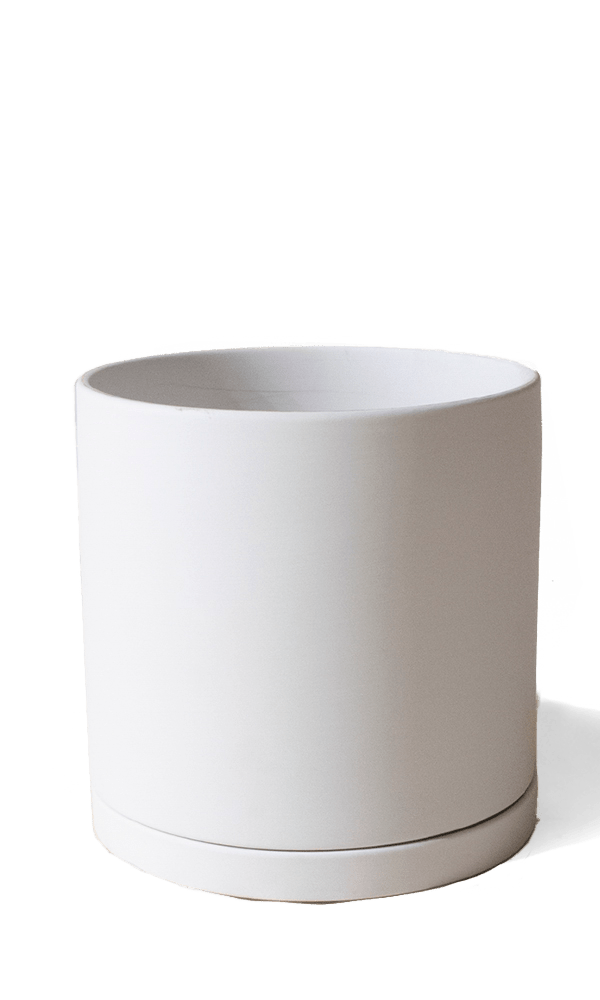 Dojo Porcelain Modern Indoor Plant Pot With Saucer - Chive Ceramics Studio - Pots - Chive Ceramics Studio