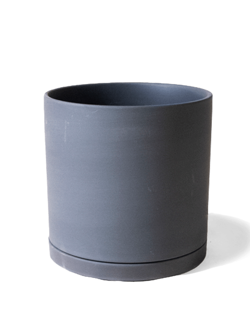 Dojo Porcelain Modern Indoor Plant Pot With Saucer - Chive Ceramics Studio - Pots - Chive Ceramics Studio