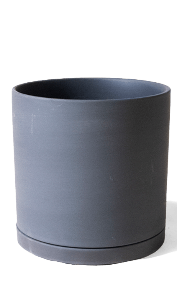 Dojo Porcelain Modern Indoor Plant Pot With Saucer - Chive Ceramics Studio - Pots - Chive Ceramics Studio
