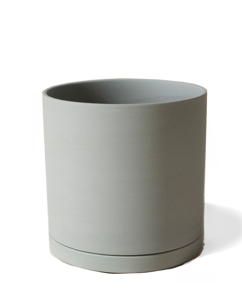 Dojo Porcelain Modern Indoor Plant Pot With Saucer - Chive Ceramics Studio - Pots - Chive Ceramics Studio