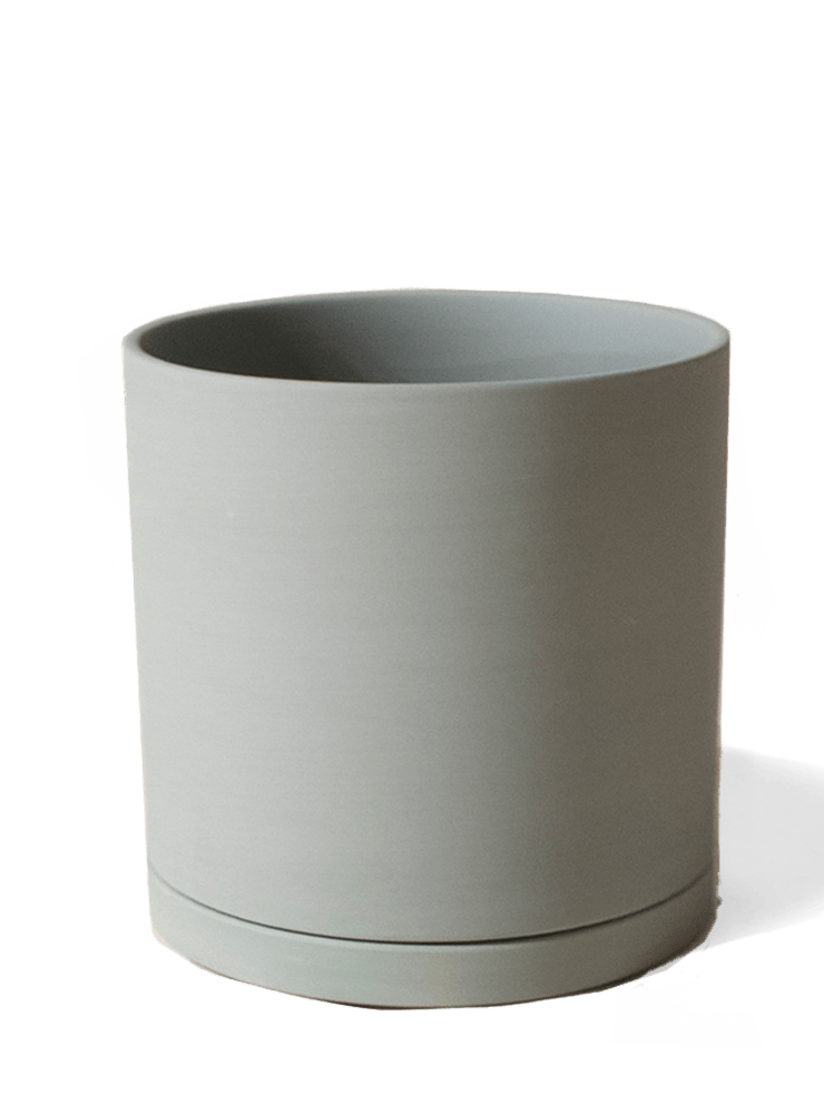 Dojo Porcelain Modern Indoor Plant Pot With Saucer - Chive Ceramics Studio - Pots - Chive Ceramics Studio