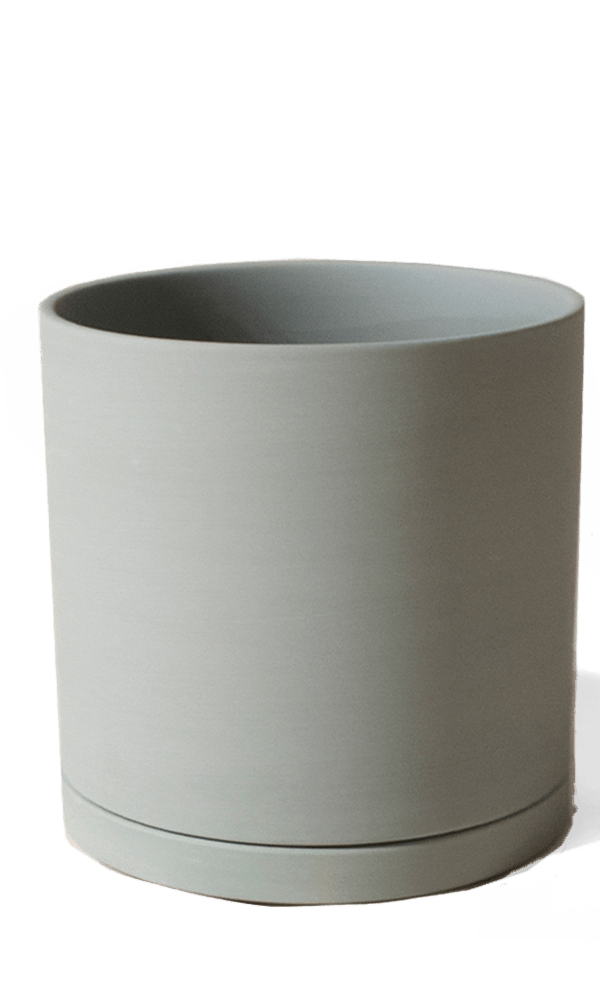 Dojo Porcelain Modern Indoor Plant Pot With Saucer - Chive Ceramics Studio - Pots - Chive Ceramics Studio