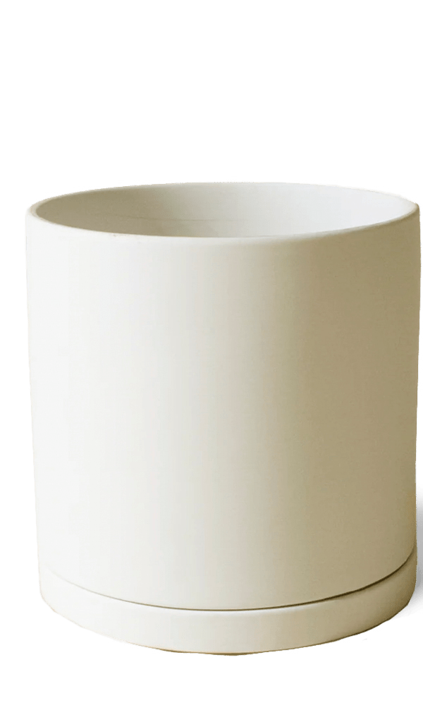 Dojo Porcelain Modern Indoor Plant Pot With Saucer - Chive Ceramics Studio - Pots - Chive Ceramics Studio