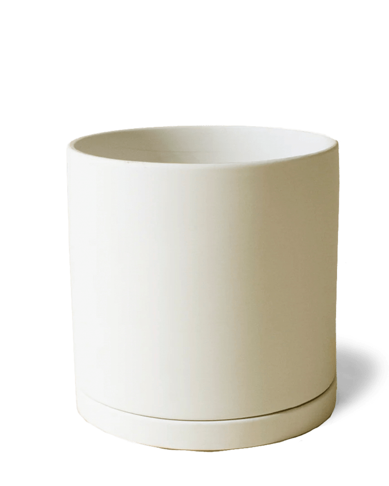 Dojo Porcelain Modern Indoor Plant Pot With Saucer - Chive Ceramics Studio - Pots - Chive Ceramics Studio