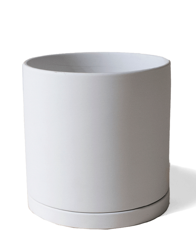Dojo Porcelain Modern Indoor Plant Pot With Saucer - Chive Ceramics Studio - Pots - Chive Ceramics Studio