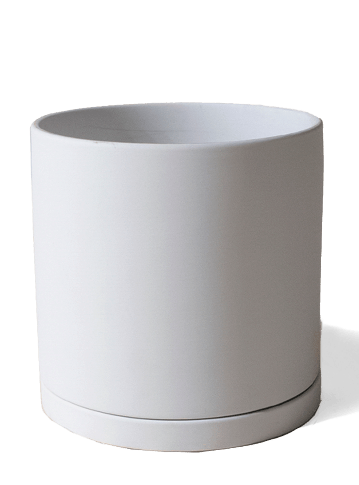 Dojo Porcelain Modern Indoor Plant Pot With Saucer - Chive Ceramics Studio - Pots - Chive Ceramics Studio