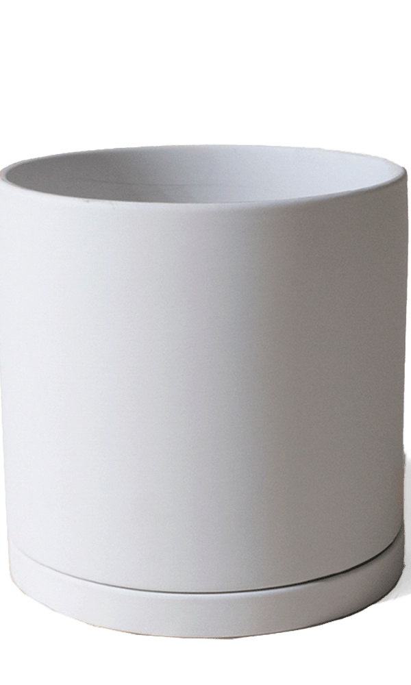 Dojo Porcelain Modern Indoor Plant Pot With Saucer - Chive Ceramics Studio - Pots - Chive Ceramics Studio