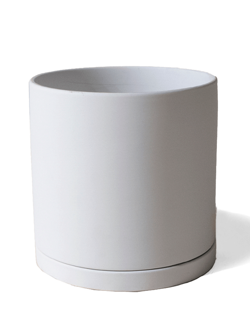 Dojo Porcelain Modern Indoor Plant Pot With Saucer - Chive Ceramics Studio - Pots - Chive Ceramics Studio