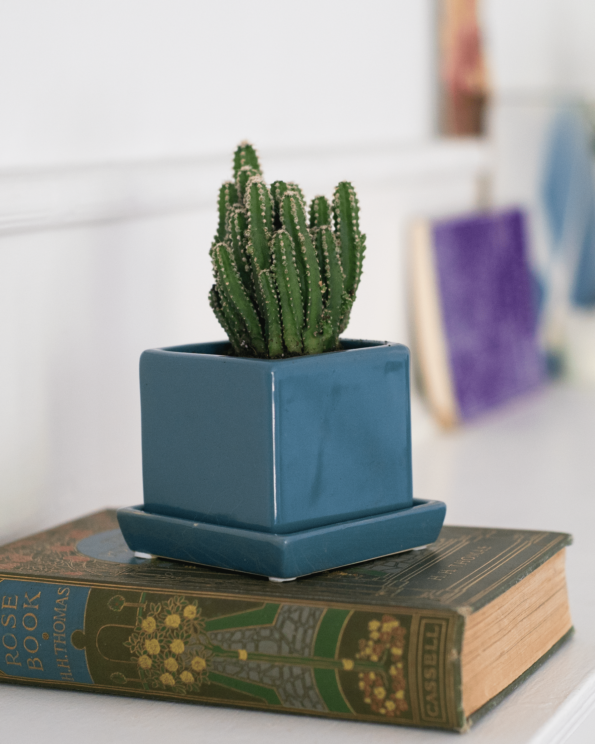 Cube & Saucer Ceramic Pot With Drainage Hole - Chive Ceramics Studio - Pots - Chive Ceramics Studio
