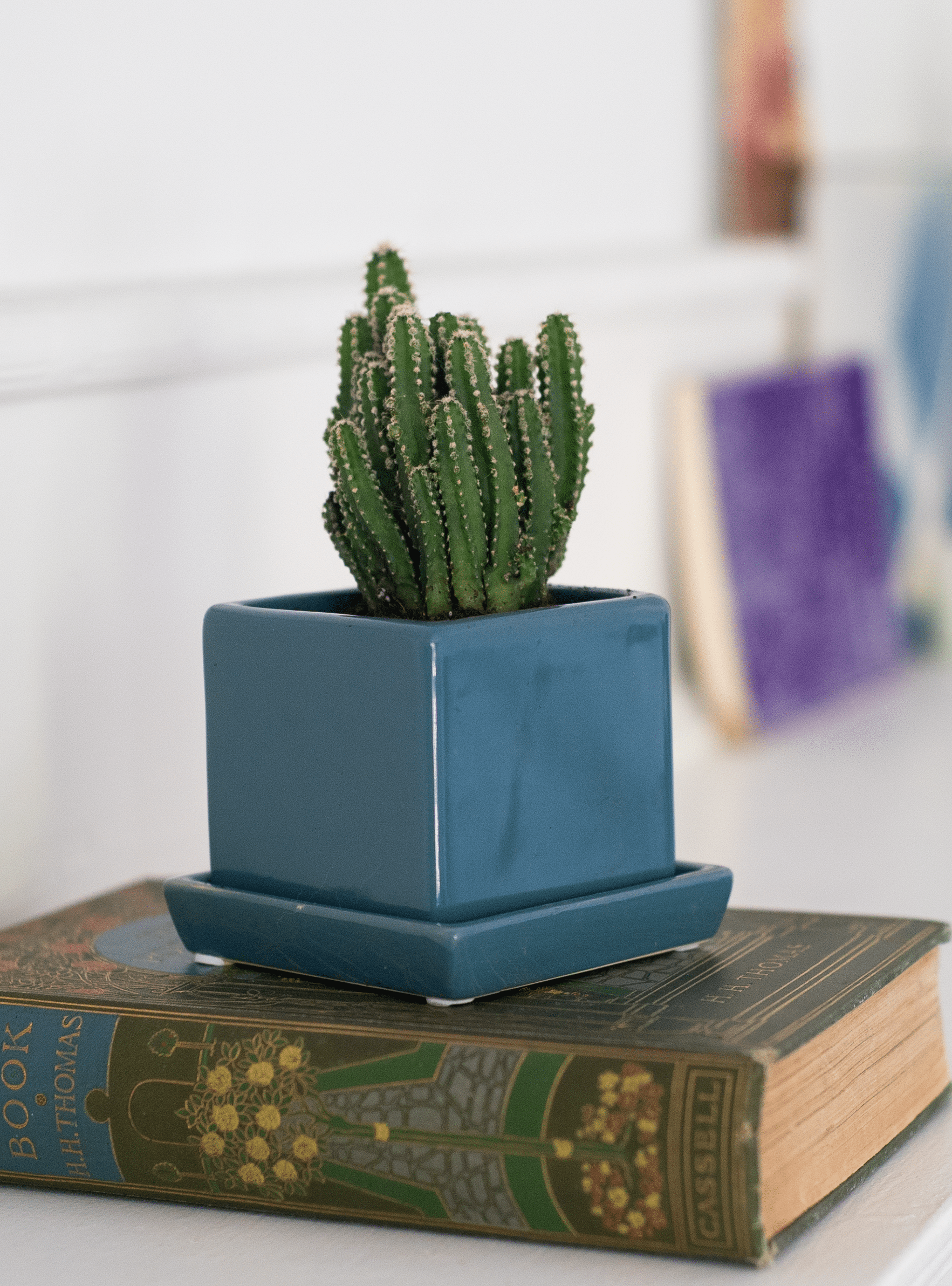 Cube & Saucer Ceramic Pot With Drainage Hole - Chive Ceramics Studio - Pots - Chive Ceramics Studio