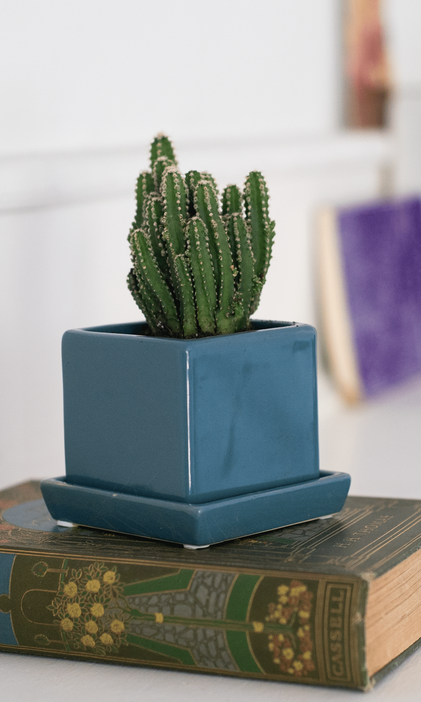 Cube & Saucer Ceramic Pot With Drainage Hole - Chive Ceramics Studio - Pots - Chive Ceramics Studio