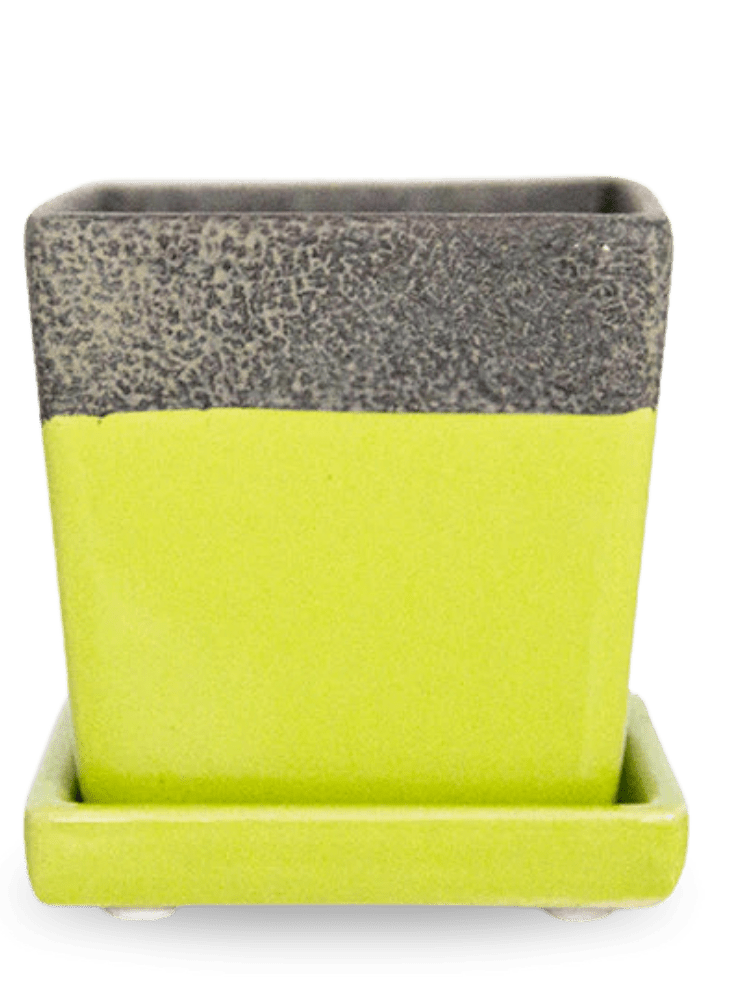 Duo Ceramic Planter With Drainage Hole And Saucer - Chive Ceramics Studio - Pots - Chive US