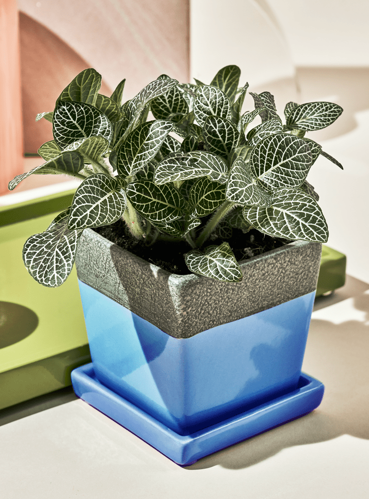 Duo Ceramic Planter With Drainage Hole And Saucer - Chive Ceramics Studio - Pots - Chive US