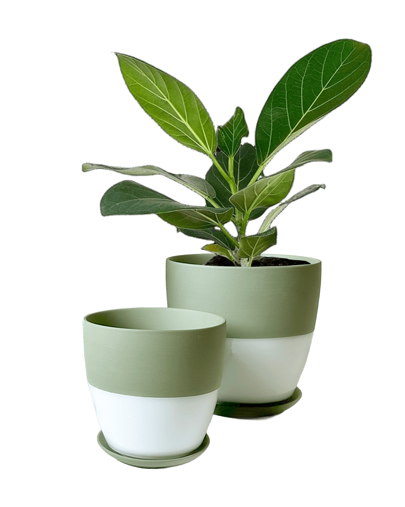 Dyad Porcelain Modern Indoor Plant Pot With Saucer | 3 & 5 inches - Chive Ceramics Studio - Pots - Chive Ceramics Studio