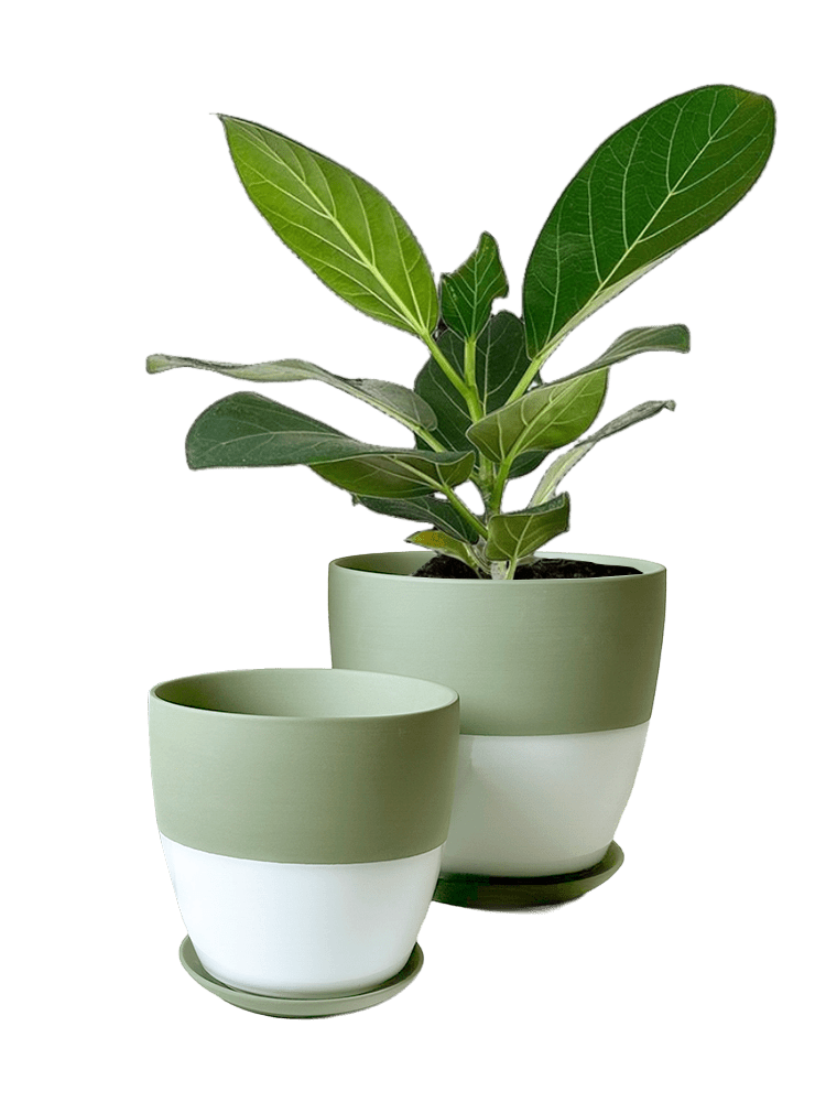 Dyad Porcelain Modern Indoor Plant Pot With Saucer | 3 & 5 inches - Chive Ceramics Studio - Pots - Chive Ceramics Studio