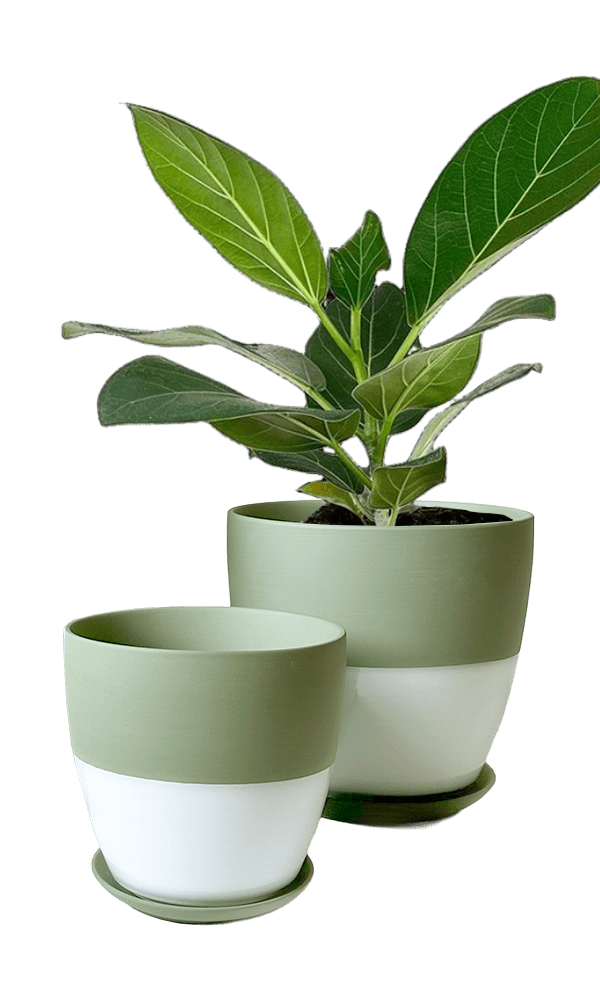 Dyad Porcelain Modern Indoor Plant Pot With Saucer | 3 & 5 inches - Chive Ceramics Studio - Pots - Chive Ceramics Studio