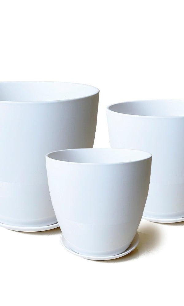 Dyad Porcelain Modern Indoor Plant Pot With Saucer | 6, 8 & 10 inches - Chive Ceramics Studio - Pots - Chive Ceramics Studio