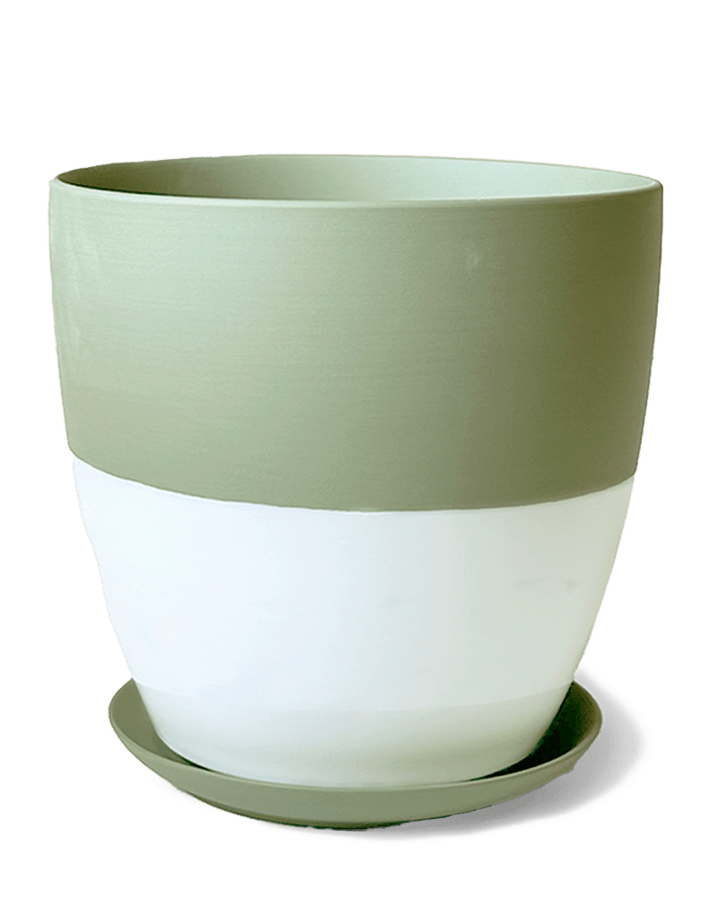 Dyad Porcelain Modern Indoor Plant Pot With Saucer - Chive Ceramics Studio - Pots - Chive US
