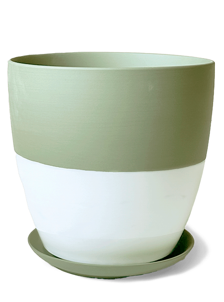 Dyad Porcelain Modern Indoor Plant Pot With Saucer - Chive Ceramics Studio - Pots - Chive US