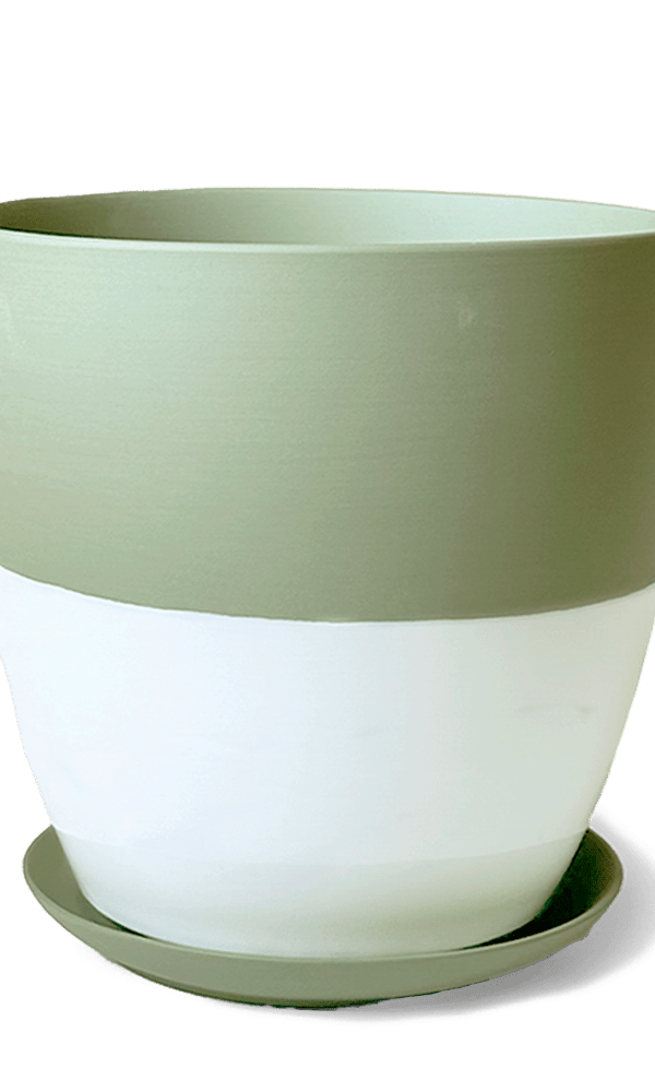 Dyad Porcelain Modern Indoor Plant Pot With Saucer - Chive Ceramics Studio - Pots - Chive US