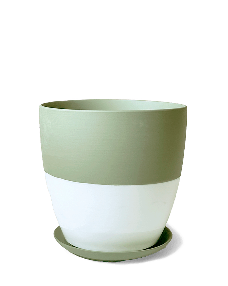 Dyad Porcelain Modern Indoor Plant Pot With Saucer | 3 & 5 inches - Chive Ceramics Studio - Pots - Chive Ceramics Studio