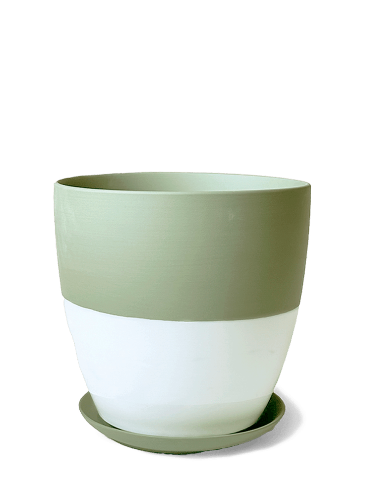 Dyad Porcelain Modern Indoor Plant Pot With Saucer | 3 & 5 inches - Chive Ceramics Studio - Pots - Chive Ceramics Studio