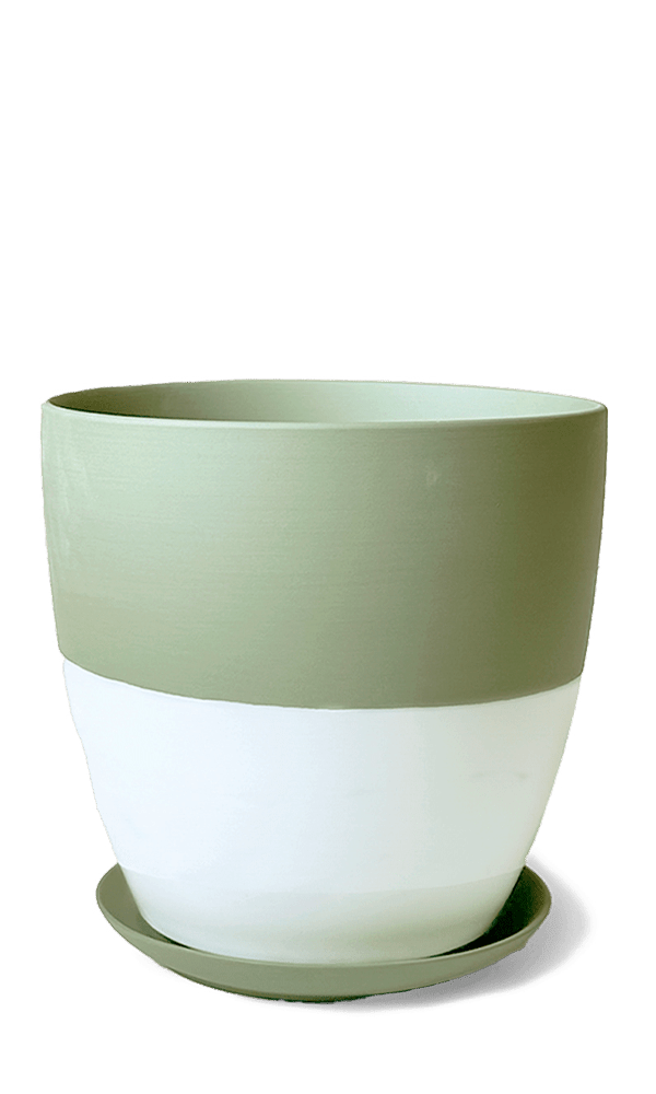 Dyad Porcelain Modern Indoor Plant Pot With Saucer | 3 & 5 inches - Chive Ceramics Studio - Pots - Chive Ceramics Studio