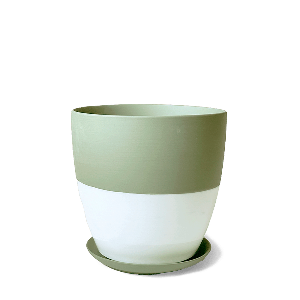 Dyad Porcelain Modern Indoor Plant Pot With Saucer | 3 & 5 inches - Chive Ceramics Studio - Pots - Chive Ceramics Studio