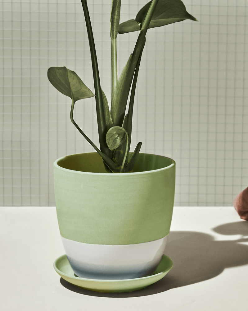 Dyad Porcelain Modern Indoor Plant Pot With Saucer - Chive Ceramics Studio - Pots - Chive US