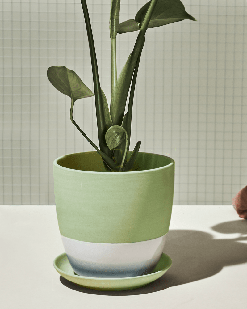 Dyad Porcelain Modern Indoor Plant Pot With Saucer - Chive Ceramics Studio - Pots - Chive US