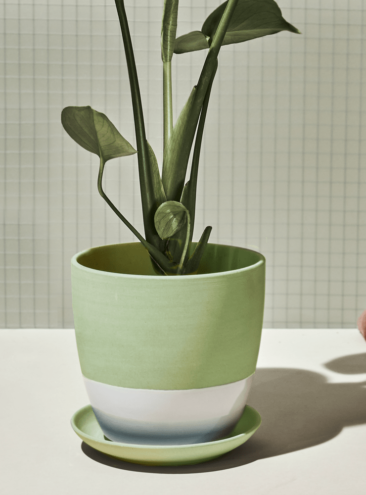 Dyad Porcelain Modern Indoor Plant Pot With Saucer - Chive Ceramics Studio - Pots - Chive US