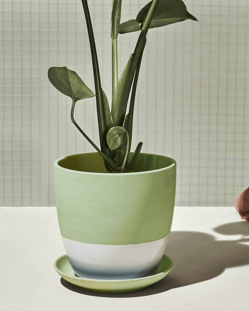 Dyad Porcelain Modern Indoor Plant Pot With Saucer - Chive Ceramics Studio - Pots - Chive US