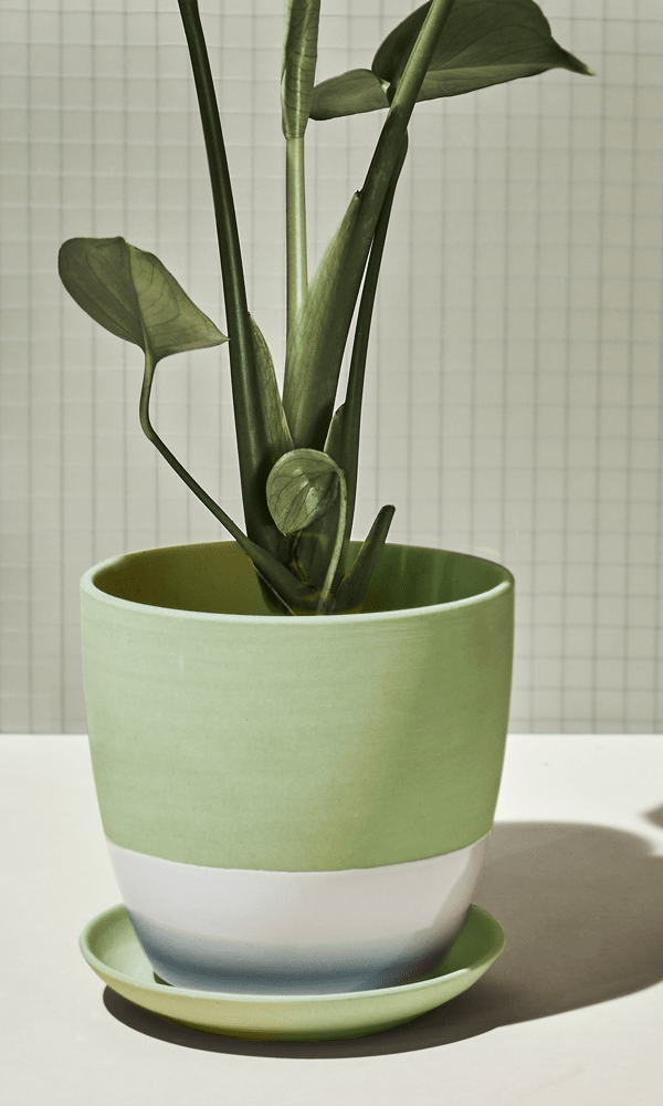 Dyad Porcelain Modern Indoor Plant Pot With Saucer | 6, 8 & 10 inches - Chive Ceramics Studio - Pots - Chive Ceramics Studio
