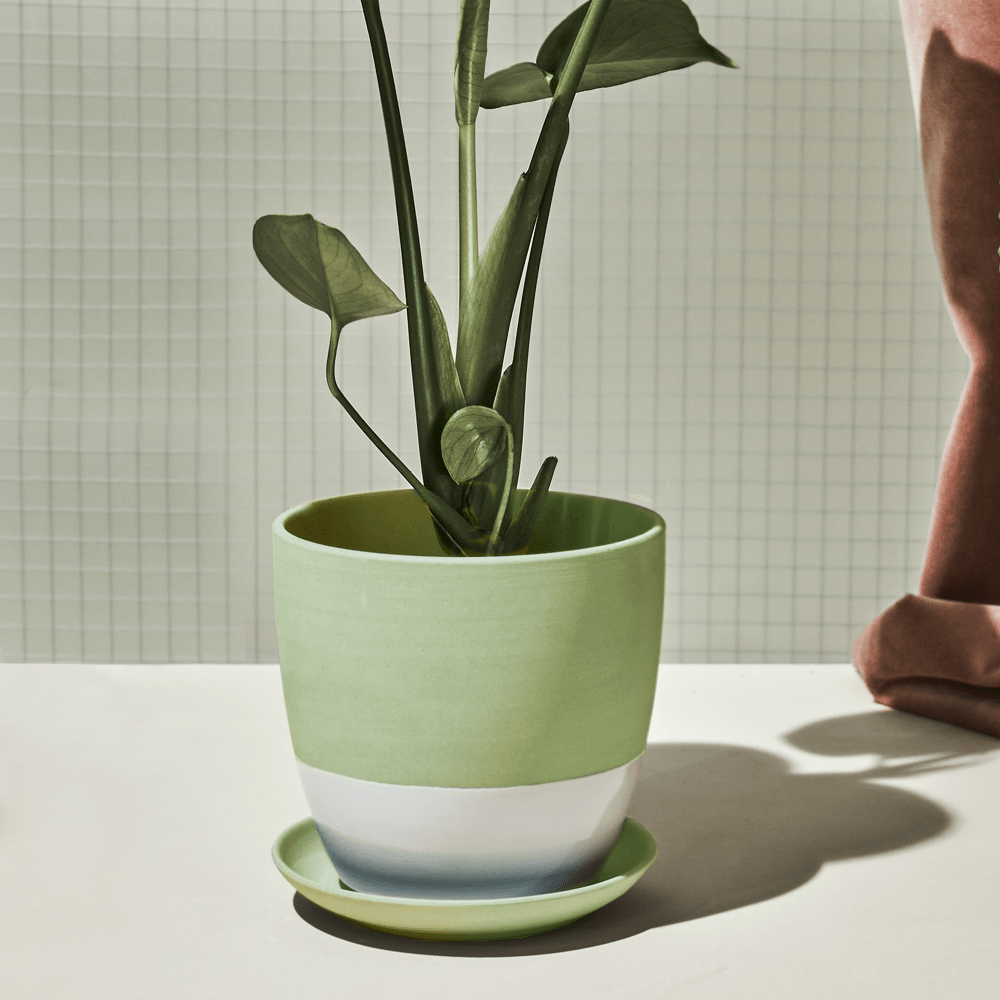 Dyad Porcelain Modern Indoor Plant Pot With Saucer | 6, 8 & 10 inches - Chive Ceramics Studio - Pots - Chive Ceramics Studio
