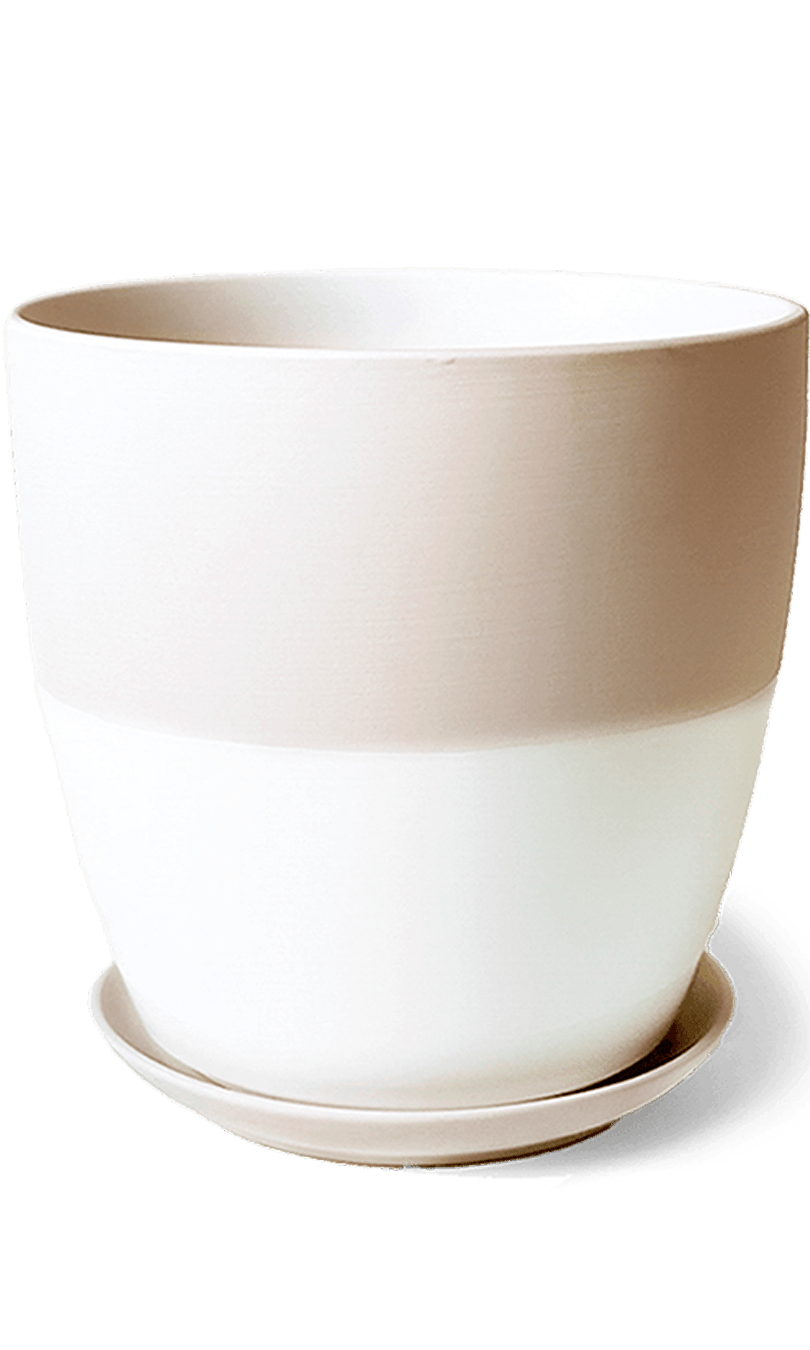 Dyad Porcelain Modern Indoor Plant Pot With Saucer | 6, 8 & 10 inches - Chive Ceramics Studio - Pots - Chive Ceramics Studio