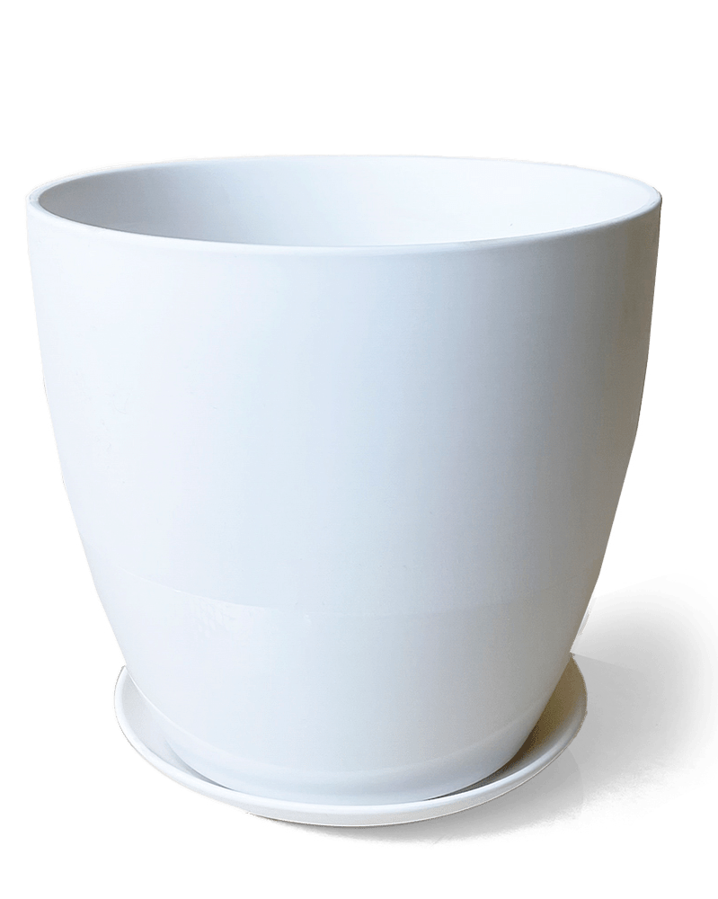 Dyad Porcelain Modern Indoor Plant Pot With Saucer - Chive Ceramics Studio - Pots - Chive US