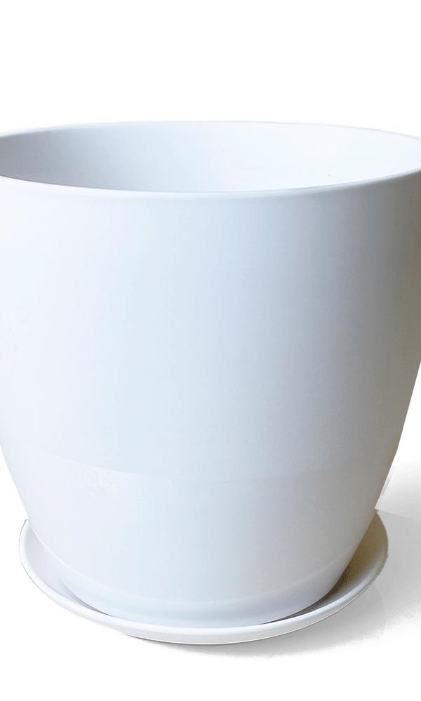 Dyad Porcelain Modern Indoor Plant Pot With Saucer - Chive Ceramics Studio - Pots - Chive US