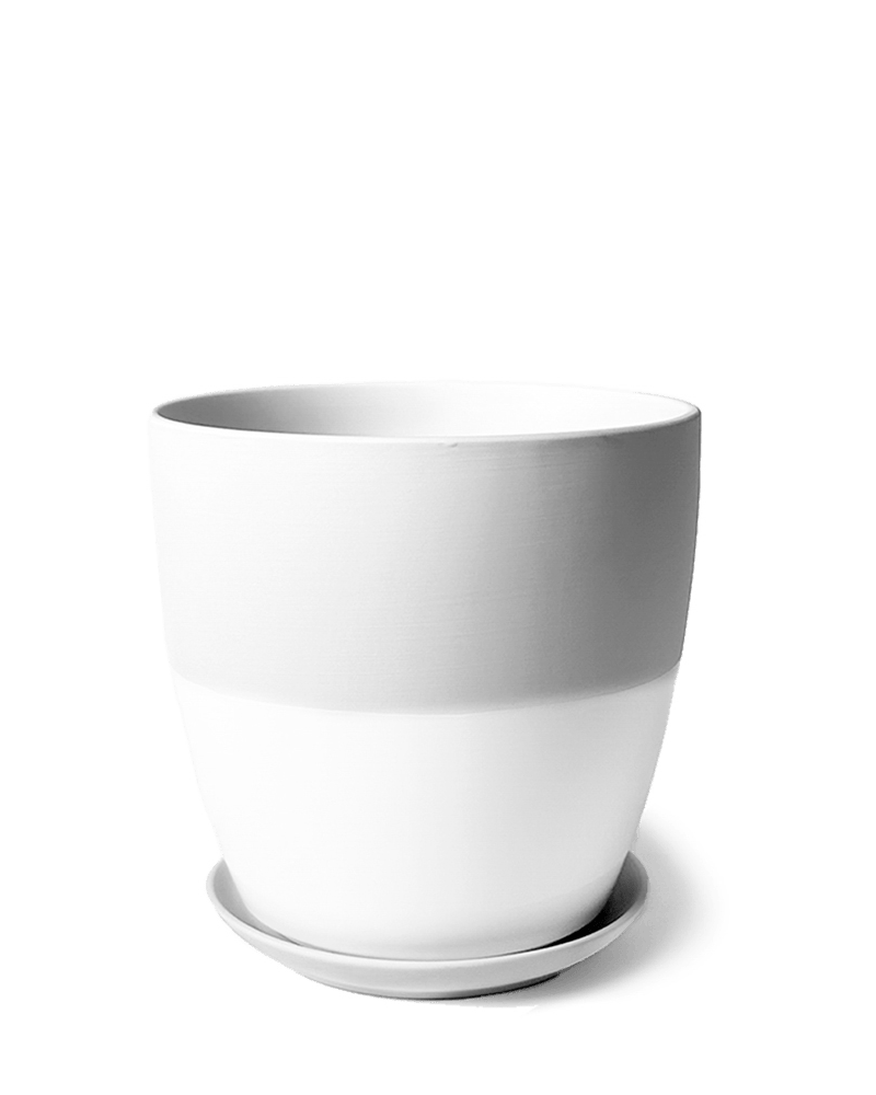 Dyad Porcelain Modern Indoor Plant Pot With Saucer - Chive Ceramics Studio - Pots - Chive US