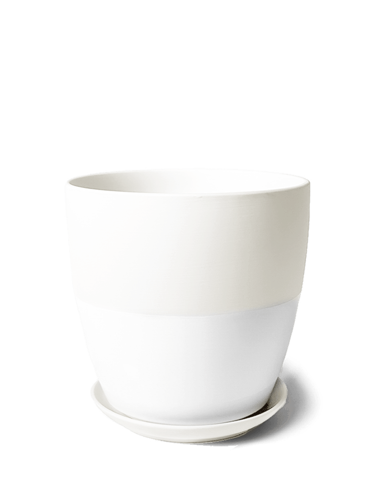 Dyad Porcelain Modern Indoor Plant Pot With Saucer | 3 & 5 inches - Chive Ceramics Studio - Pots - Chive Ceramics Studio