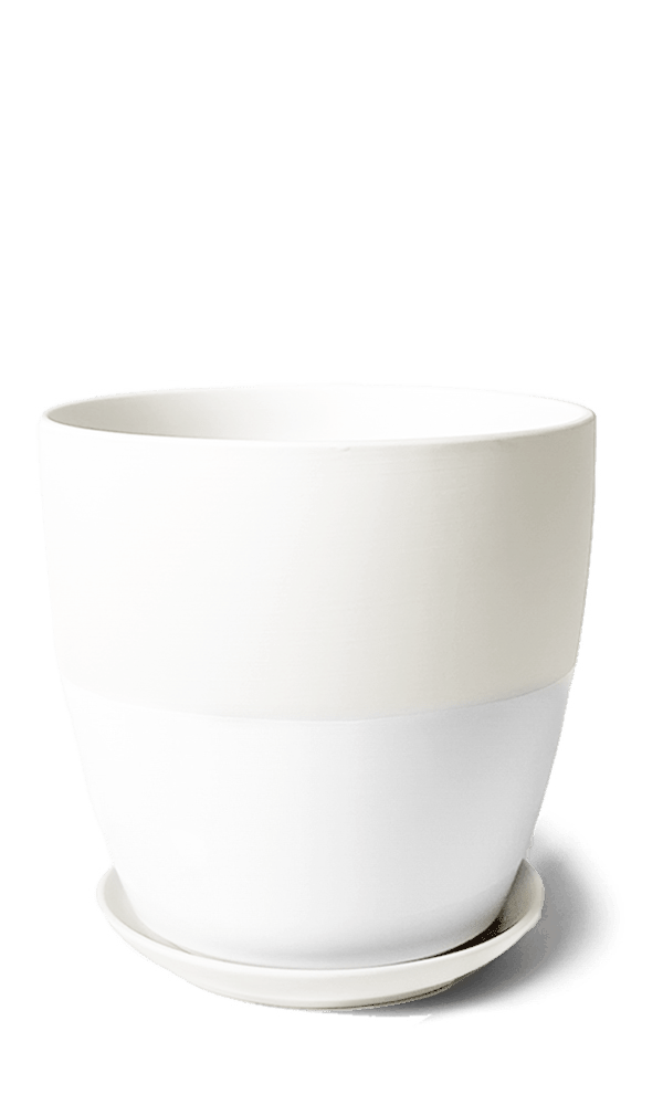 Dyad Porcelain Modern Indoor Plant Pot With Saucer | 3 & 5 inches - Chive Ceramics Studio - Pots - Chive Ceramics Studio