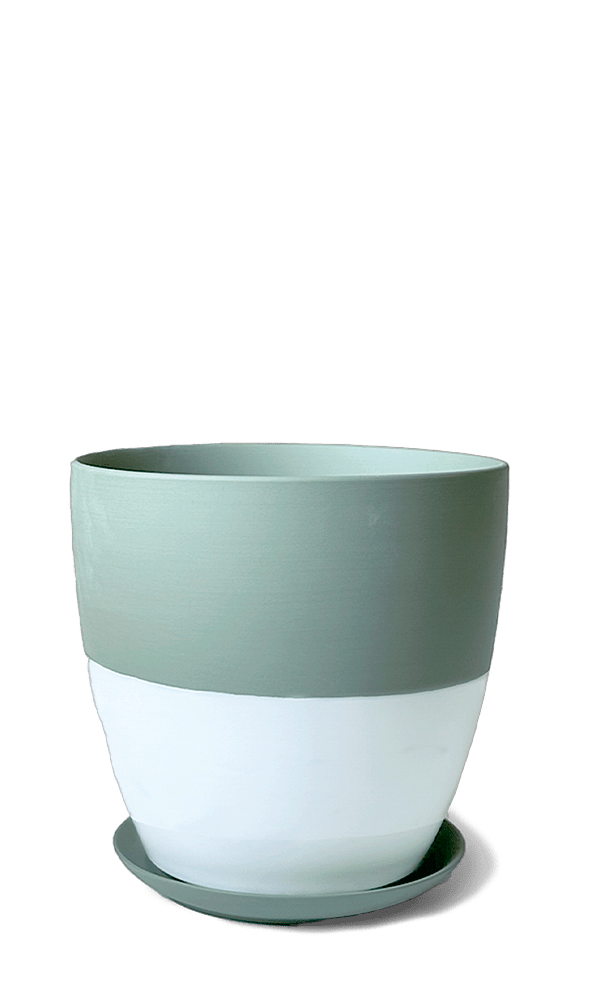 Dyad Porcelain Modern Indoor Plant Pot With Saucer - Chive Ceramics Studio - Pots - Chive US