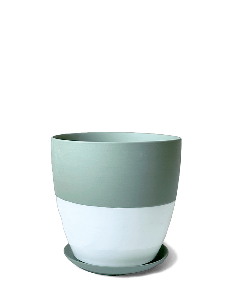 Dyad Porcelain Modern Indoor Plant Pot With Saucer - Chive Ceramics Studio - Pots - Chive US