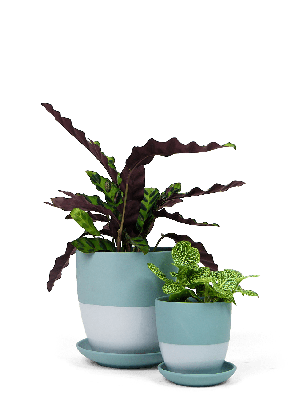 Dyad Porcelain Modern Indoor Plant Pot With Saucer - Chive Ceramics Studio - Pots - Chive US