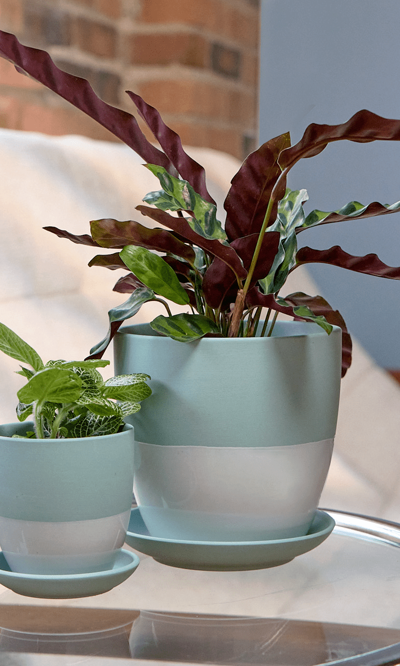 Dyad Porcelain Modern Indoor Plant Pot With Saucer - Chive Ceramics Studio - Pots - Chive US