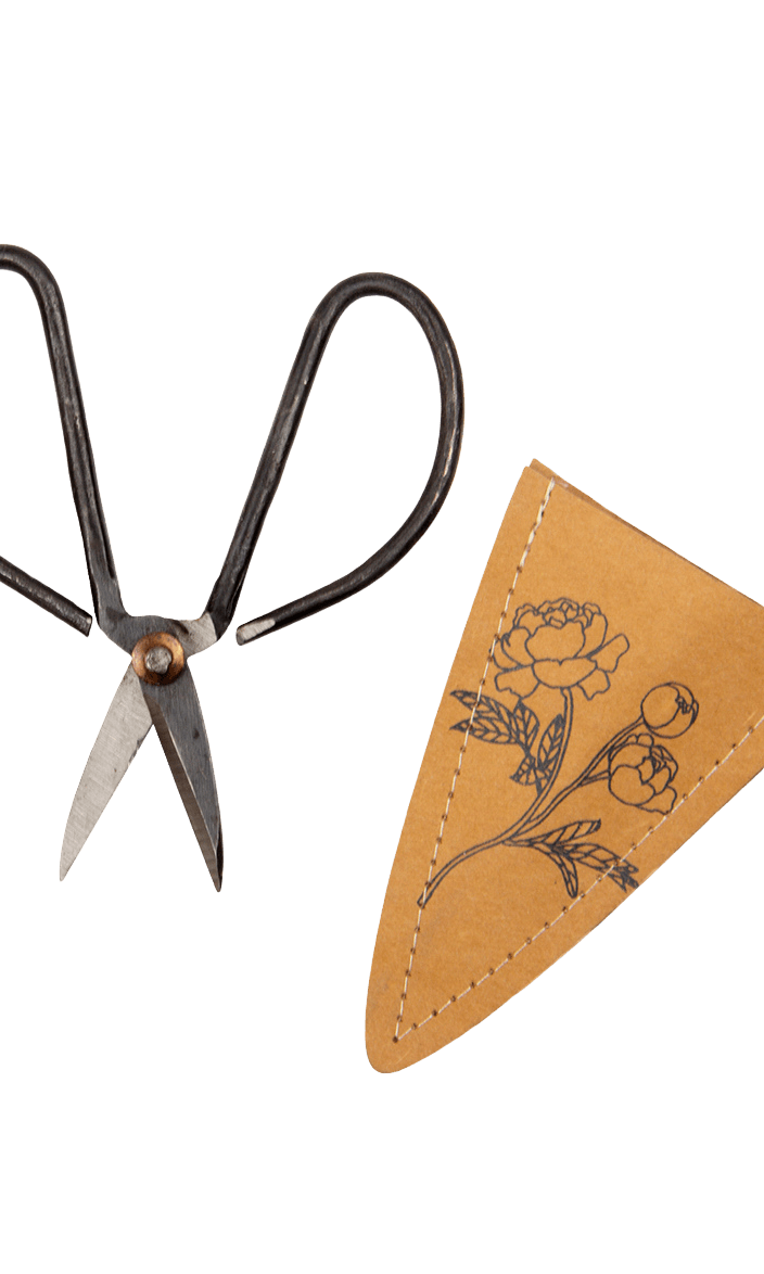 Edward Clippers Ikebana Pruning Scissors - Chive Ceramics Studio - Tools & Accessories - Chive Ceramics Studio