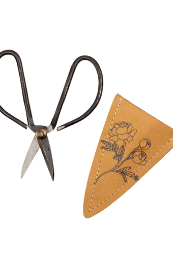 Edward Clippers Ikebana Pruning Scissors - Chive Ceramics Studio - Tools & Accessories - Chive Ceramics Studio